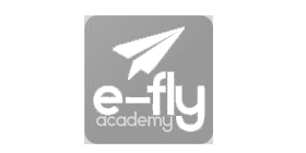 E - fly